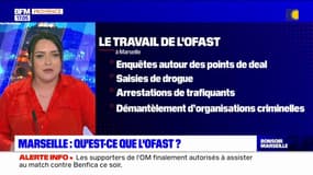 Marseille: qu'est-ce que l'Ofast, l'Office antistupéfiants perquisitionné par l'IGPN?