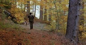 La famille se dit traumatisée par cette découverte. "Quand on voit les dégâts sur le mur, le parquet, on n'imagine pas ce qui aurait pu arriver."