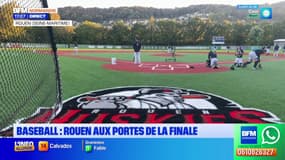 Seine-Maritime: en baseball, les Huskies de Rouen aux portes de la finale nationale