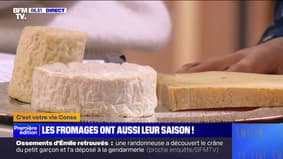 Quels fromages consommer à la bonne saison?