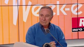 Allain Bougrain-Dubourg, président de la Ligue pour la protection des oiseaux, sur RMC, le 8 janvier 2023