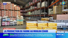 Planète Locale du mercredi 28 mai - La production de farine au moulin Céard