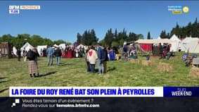Peyrolles: la Foire du Roy René bat son plein pour sa 20e édition