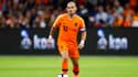 Wesley Sneijder
