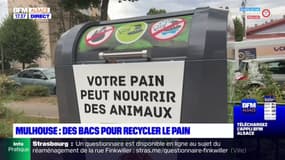 Mulhouse: des bacs pour recycler le pain rassis