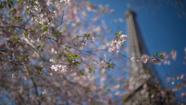 La France prévoit 1 milliard d'euros dans son fonds dédié au tourisme.
