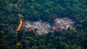 Une illustration de la déforestation en forêt amazonienne, ici à  Altamira