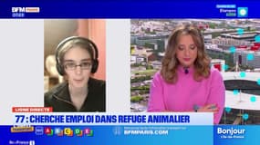 Seine-et-Marne: elle cherche un emploi dans un refuge animalier