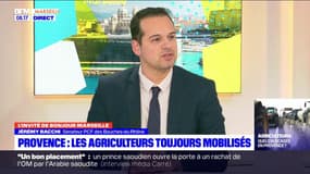 "Le vrai risque, c'est la disparition de nos agriculteurs", estime le sénateur PCF des Bouches-du-Rhône Jérémy Bacchi