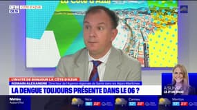 Alpes-Maritimes: comment expliquer les cas de dengue?
