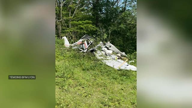 Rhone L Ancien Conseiller General Georges Barriol Est Mort Dans Le Crash D Un Avion De Tourisme