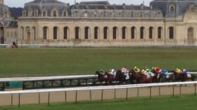 Les pronos hippiques du mardi 1er mars 2022