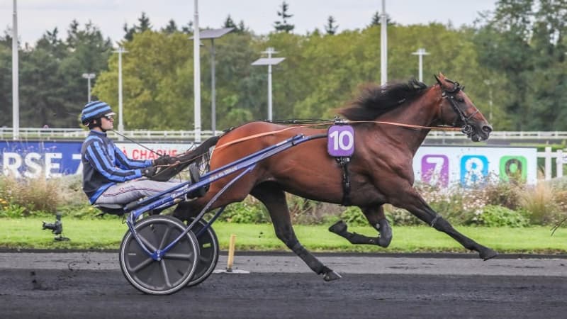 Prix de Bourgogne - Amérique Races Q5 : Idao de Tillard triomphe