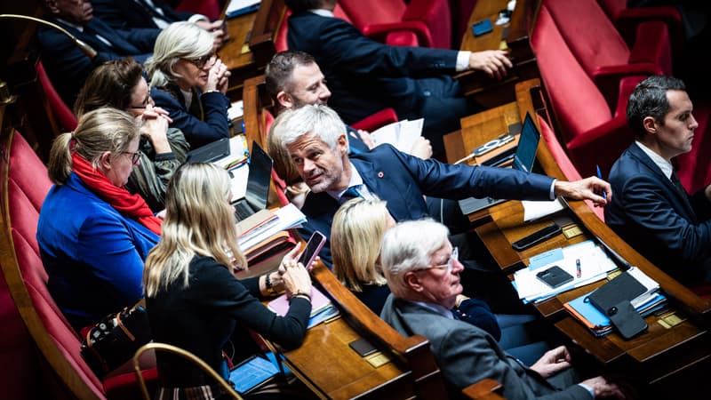 Suspension de la réforme des retraites: le groupe LR divisé lors du vote à l'Assemblée nationale