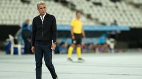 Luis Castro avec Botafogo, le 29 juin 2023