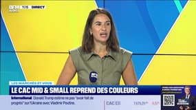 Les marchés et vous : Le CAC Mid & Small reprend des couleurs - 04/07