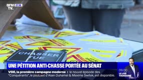 Une pétition anti-chasse a dépassé les 100.000 signatures et va être portée au Sénat