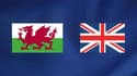 Coupe du Monde Pays de Galles – Angleterre : à quelle heure et sur quelle chaîne voir le match ?