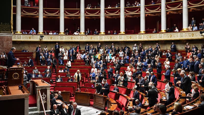 Soixante dix-sept députés ont voté pour, de la majorité LREM-MoDem, 30 contre, droite et gauche réunies.