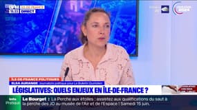 Ile-de-France: quels enseignements tirer des résultats des élections européennes?