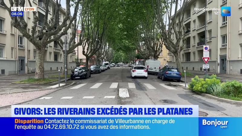 Est-ce qu'il faut attendre qu'il y ait un mort?: des habitants de Givors excédés par des platanes