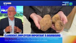 Prix de la pomme de terre en baisse: "La consommation a baissé", estime Eric Gens, maire de Bourbourg