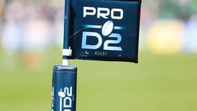 Pro D2 (illustration)