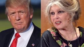 Donald Trump et Brigitte Bardot