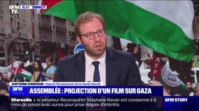 Film sur Gaza diffusé à l'Assemblée: "Je n'ai pas besoin d'aller voir un film de cette nature pour être ému par ce qui s'est passé à Rafah", affirme Antoine Armand (Renaissance)