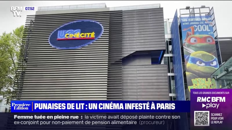 Punaises de lit: une habituée de l'UGC Bercy à Paris affirme avoir été piquée