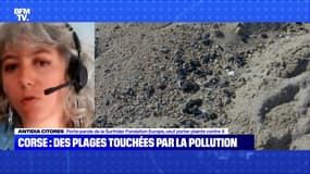 Corse : des plages touchées par la pollution - 14/06