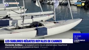 Cannes: découvrez la 44e édition des Régates Royales jusqu'au 24 septembre
