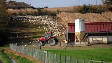 76% de la production française provient du Sud ouest.