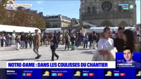 Paris: dans les coulisses du chantier de Notre-Dame