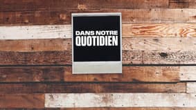 Dans notre quotidien : Animaux à la rue, ces sauveurs du quotidien