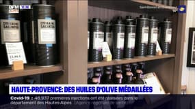Alpes de Haute-Provence: deux huiles d'olive récompensées par le concours agricole
