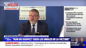 Meurtre d'Iris: le suspect a été mis en examen pour meurtre précédé d'un viol, pour enlèvement et séquestration