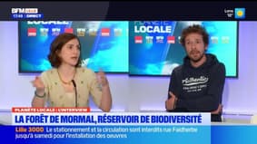 Planète Locale du mercredi 9 avril - La forêt de Mormal, réservoir de biodiversité 