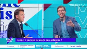 Donne-t-on trop de place aux animaux ? La déclaration d’amour de Pierre Rondeau à son chat.