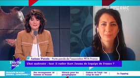 Faut-il radier Kurt Zouma de l'équipe de France ? "Je ne sais pas si une radiation à vie est envisageable mais au moins une suspension pour la prochaine Coupe du monde" demande Anissa Putois, porte-parole de PETA France.