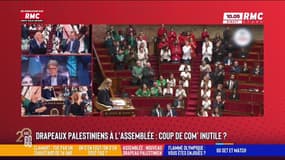 LFI brandit encore un drapeau palestinien à l’Assemblée : "Ils en font un peu beaucoup...", affirme Joëlle Dago-Serry