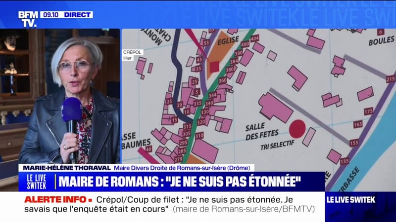 Romans-sur-Isère: Les bandes se sont réorganisées, selon la maire de la commune 
