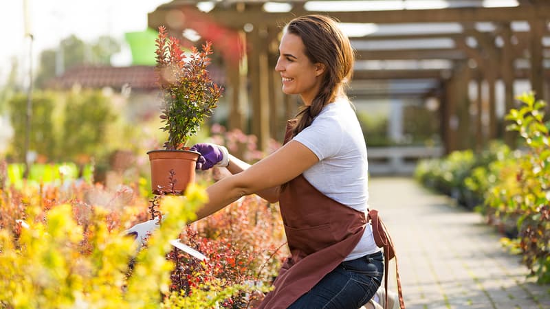botanic®, le spécialiste du jardinage écologique