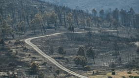 Le paysage calciné après le passage de l'incendie à Coustouge, dans l'Aude, le 8 août 2025
