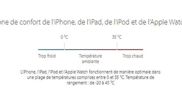 Apple Apple