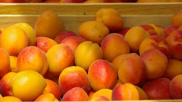 Les producteurs français misent sur du qualitatif et de l'agriculture raisonné.