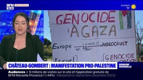 Marseille: une centaine de manifestants pro-Palestine rassemblés devant l'entreprise d'Eurolinks