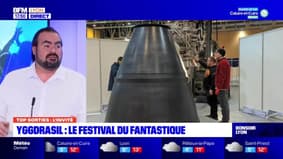 Top Sorties Lyon du vendredi 3 février 2023 - Yggdrasil: Le festival du fantastique