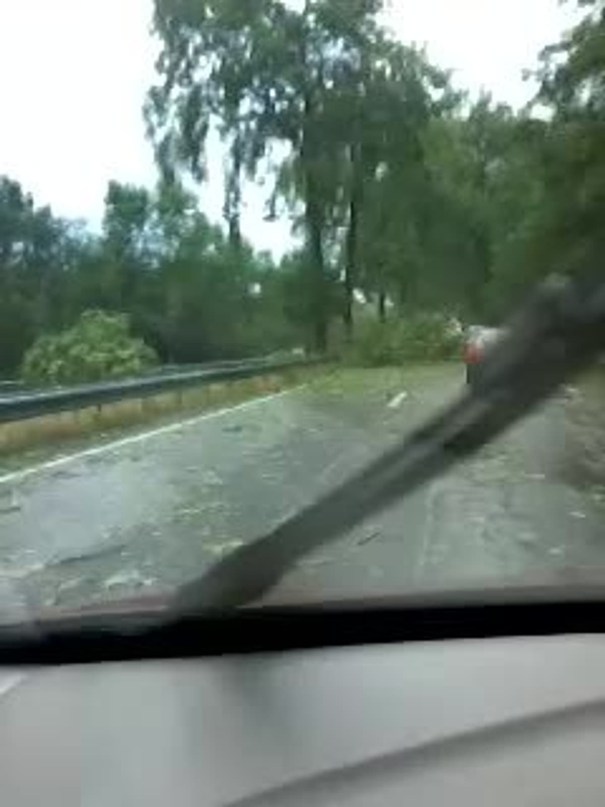placeholder video