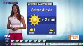 Météo Paris Île-de-France du 9 janvier: de timides rayons de soleil en perspective